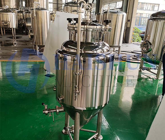 Cuves de fermentation 1BBL