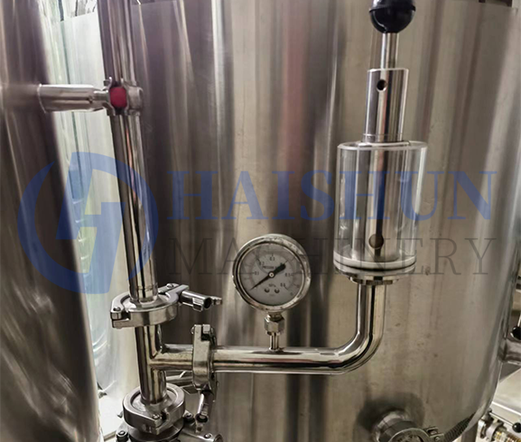 Cuves de fermentation 7BBL